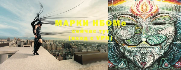 амф Медногорск